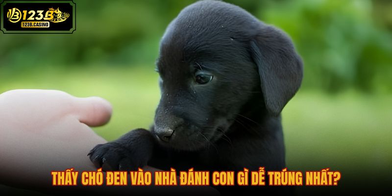 thay-cho-den-vao-nha-danh-con-gi-de-trung-nhat thay-cho-den-vao-nha-danh-con-gi-de-trung-nhat