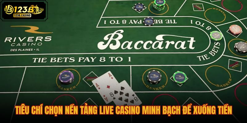 tieu-chi-chon-nen-tang-live-casino-minh-bach-de-xuong-tien