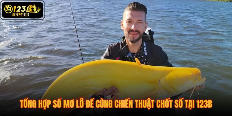 tong-hop-so-mo-lo-de-cung-chien-thuat-chot-so-tai-123b